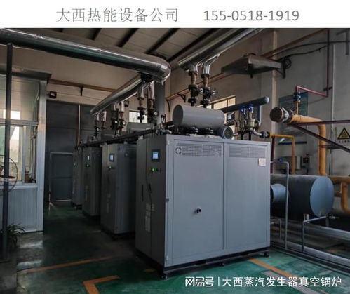 低氮環保燃氣蒸汽發生器 綠色熱能工程的新選擇